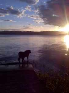 Addie on Lake Arenal at Sunset
